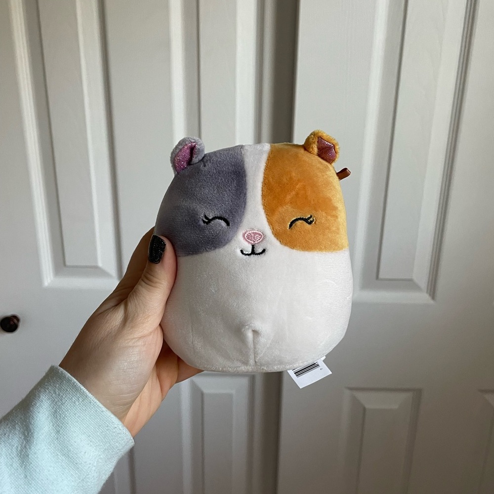 5 inch hamster 🐹 squishmallow